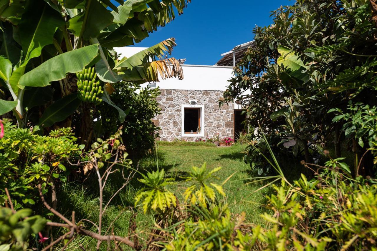 Villa Canaria Piscina Jacuzzi Jardin Santa Maria de Guia de Gran Canaria Exterior foto